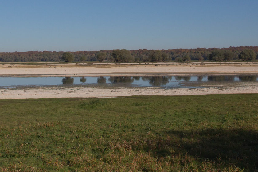 ornithologie7516.jpg