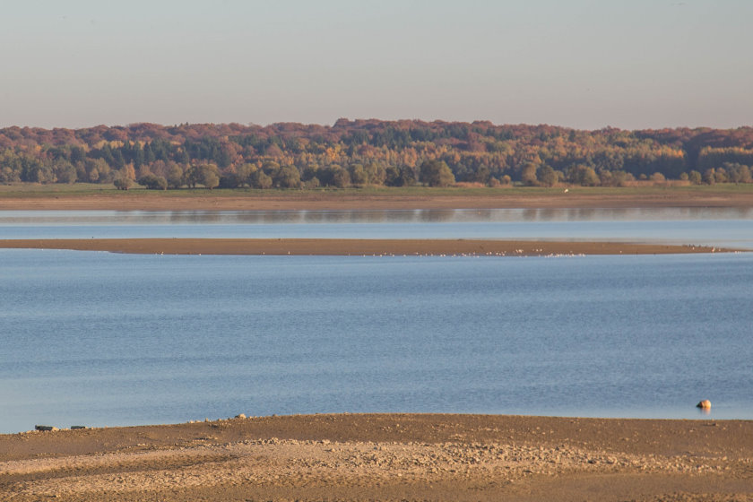 ornithologie7545-hdr.jpg