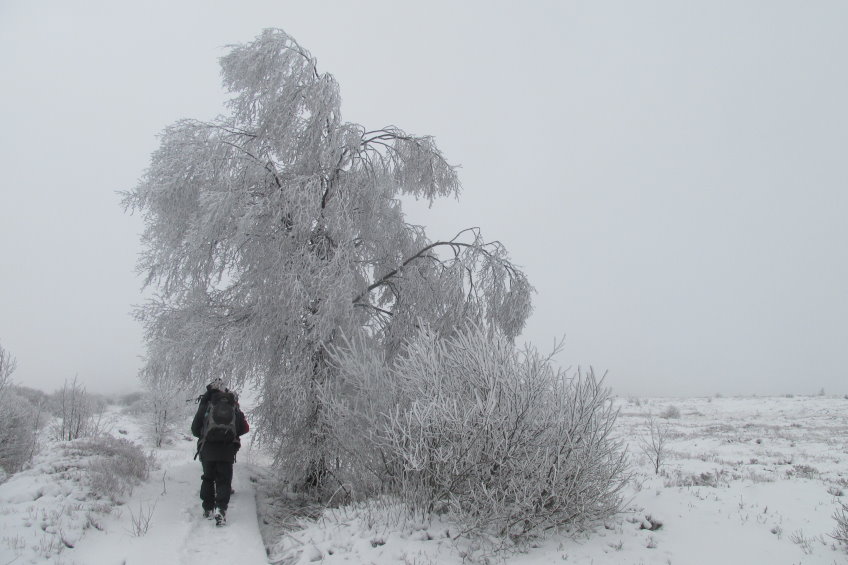 fagnes2016_3704.jpg