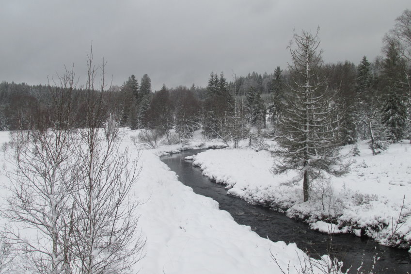 fagnes2016_3744.jpg