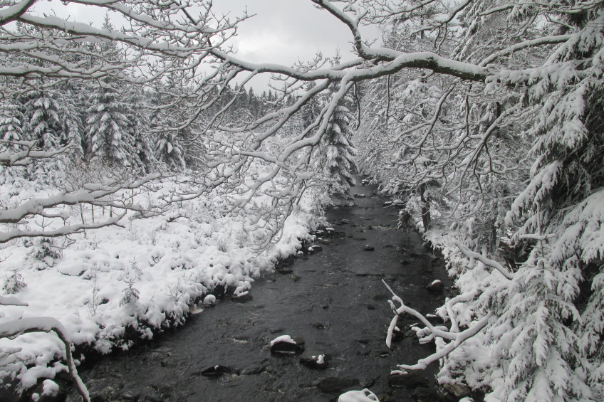 fagnes2016_3748.jpg