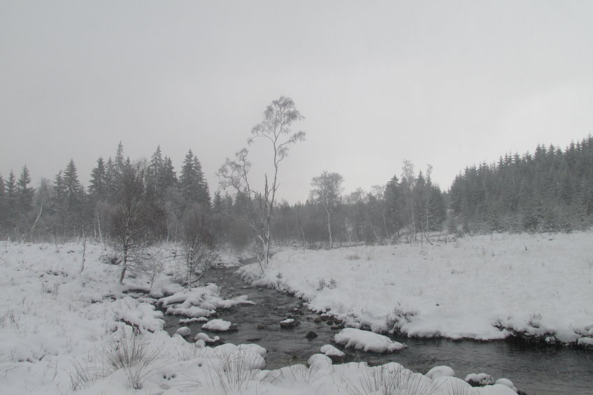 fagnes2016_3757.jpg