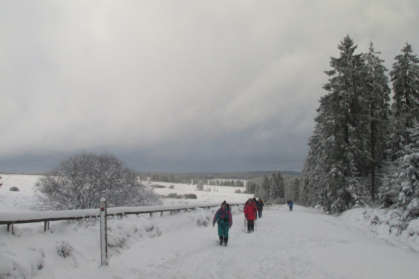 fagnes2016_3792.jpg