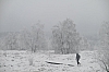 fagnes2016_3709.jpg