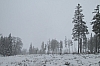 fagnes2016_3761.jpg