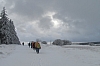 fagnes2016_3782.jpg