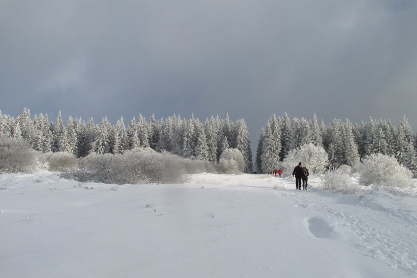 fagnes2016_3865.jpg