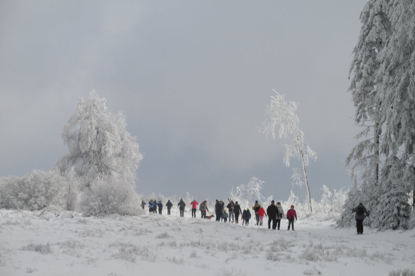 fagnes2016_3874.jpg