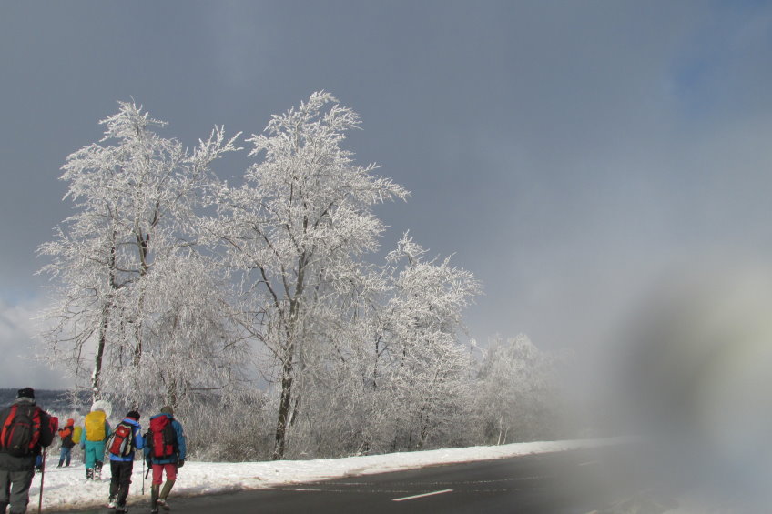 fagnes2016_3883.jpg