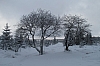 fagnes2016_3864.jpg