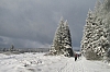 fagnes2016_3872.jpg