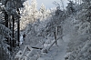 fagnes2016_3892.jpg