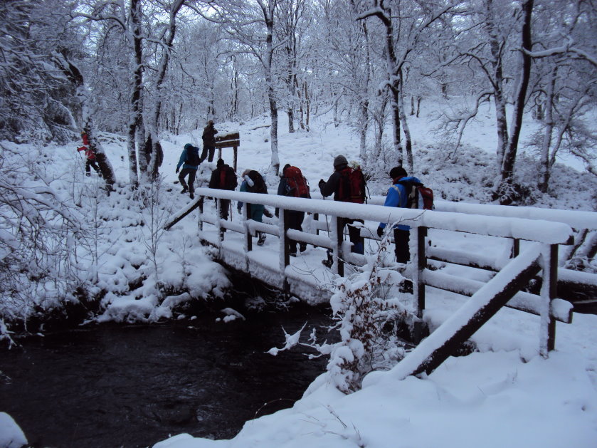 fagnes2016_03244.jpg