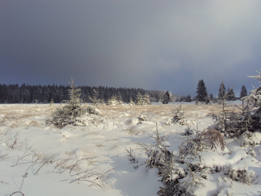 fagnes2016_03315.jpg