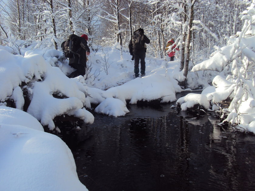 fagnes2016_03355.jpg