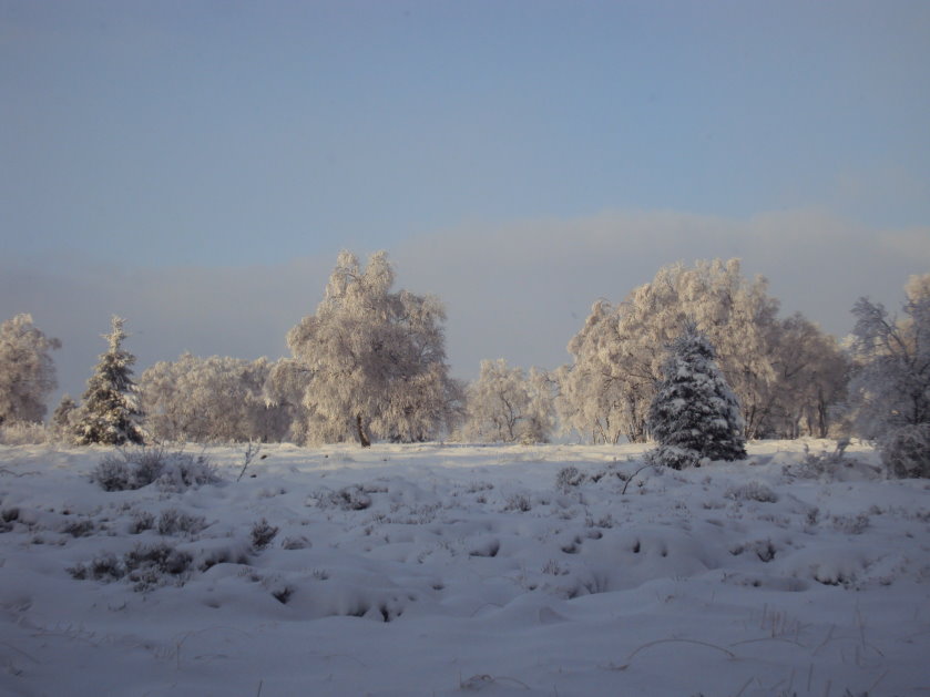 fagnes2016_03368.jpg