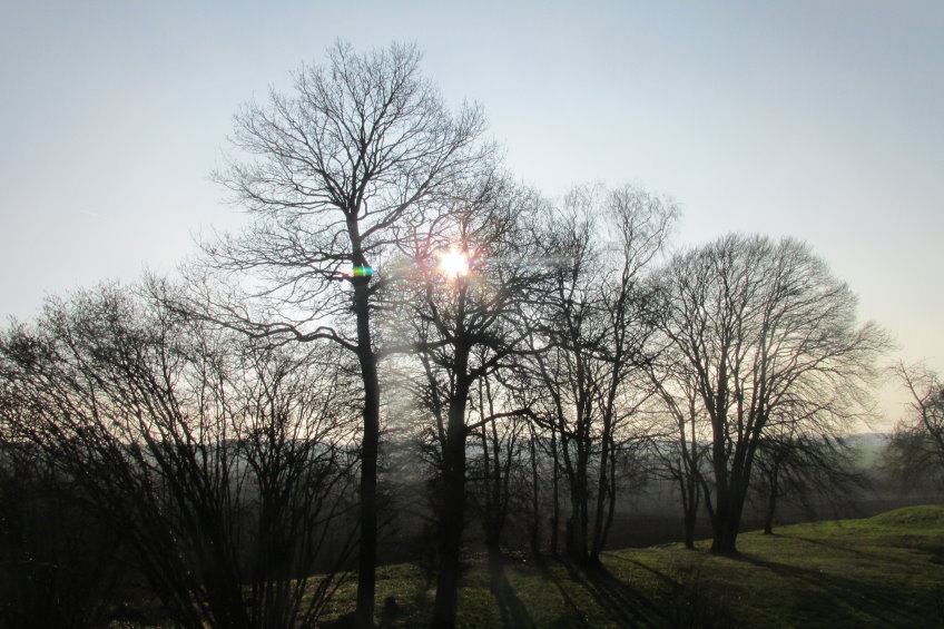 compiegne4785.jpg