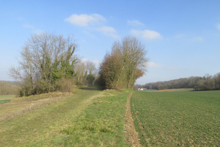 compiegne4814.jpg