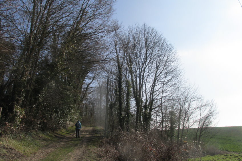 compiegne4822.jpg