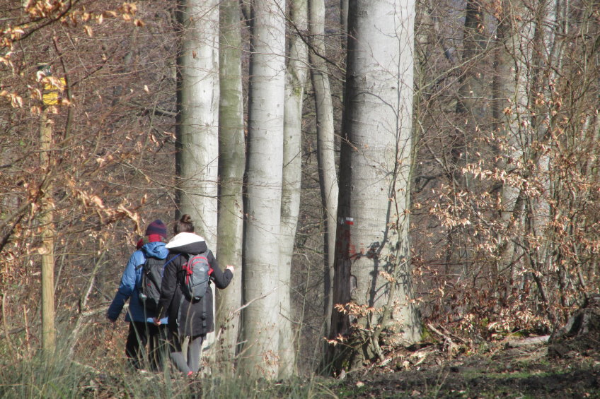 compiegne4696.jpg