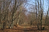 compiegne4692.jpg