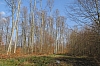 compiegne4695.jpg