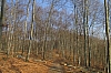 compiegne4712.jpg