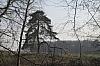 compiegne4715.jpg