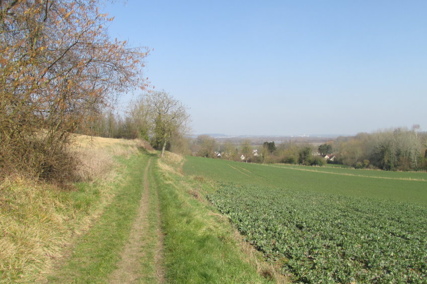 compiegne4733.jpg