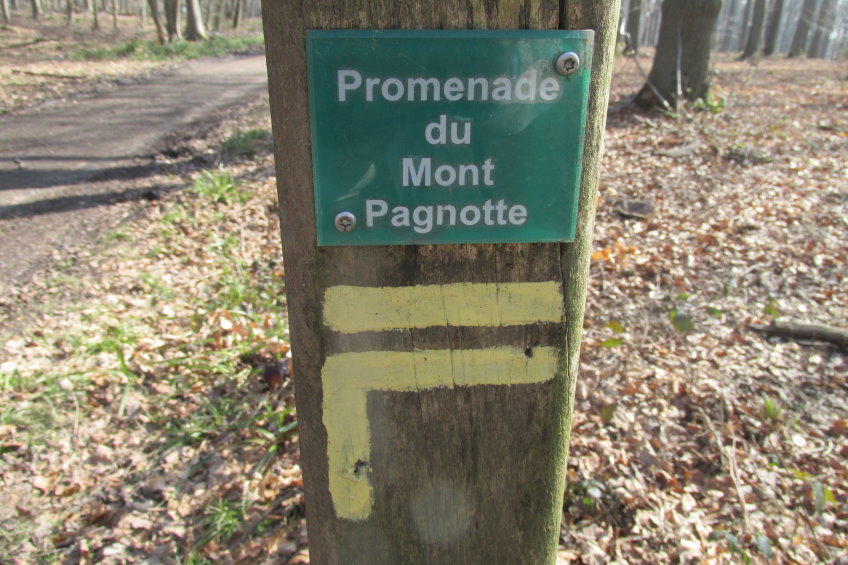 compiegne4738.jpg