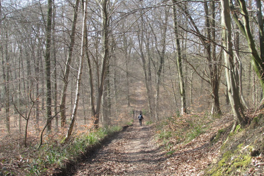 compiegne4741.jpg