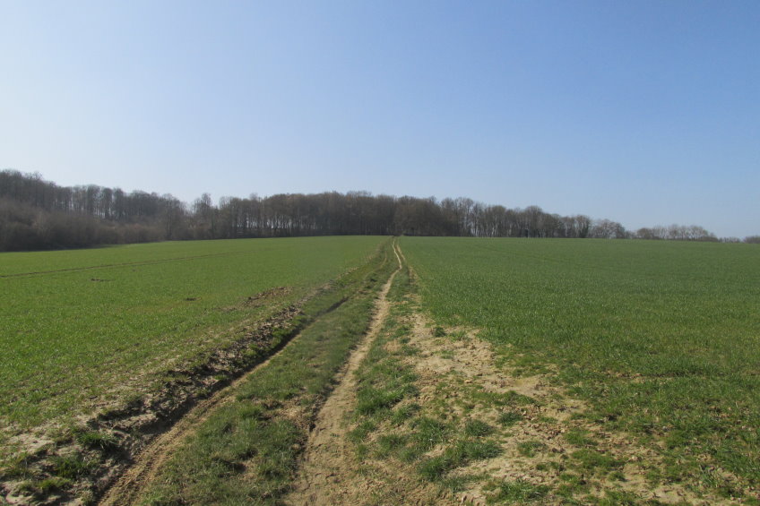 compiegne4745.jpg
