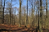 compiegne4735.jpg