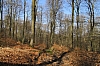 compiegne4737.jpg