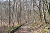 compiegne4741.jpg