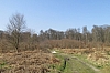 compiegne4744.jpg