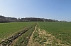 compiegne4745.jpg