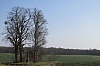 compiegne4749.jpg