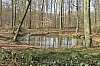 compiegne4759.jpg