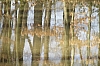 compiegne4760.jpg