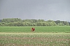 compiegne1951.jpg