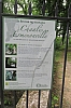 compiegne1960.jpg
