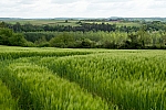 Séjour à Compiègne