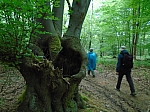 Esneux à Hermelle-sous-Huy