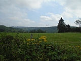 ovifat04923.jpg