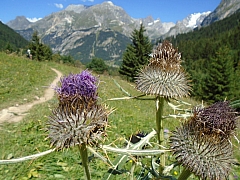 vanoise06.jpg