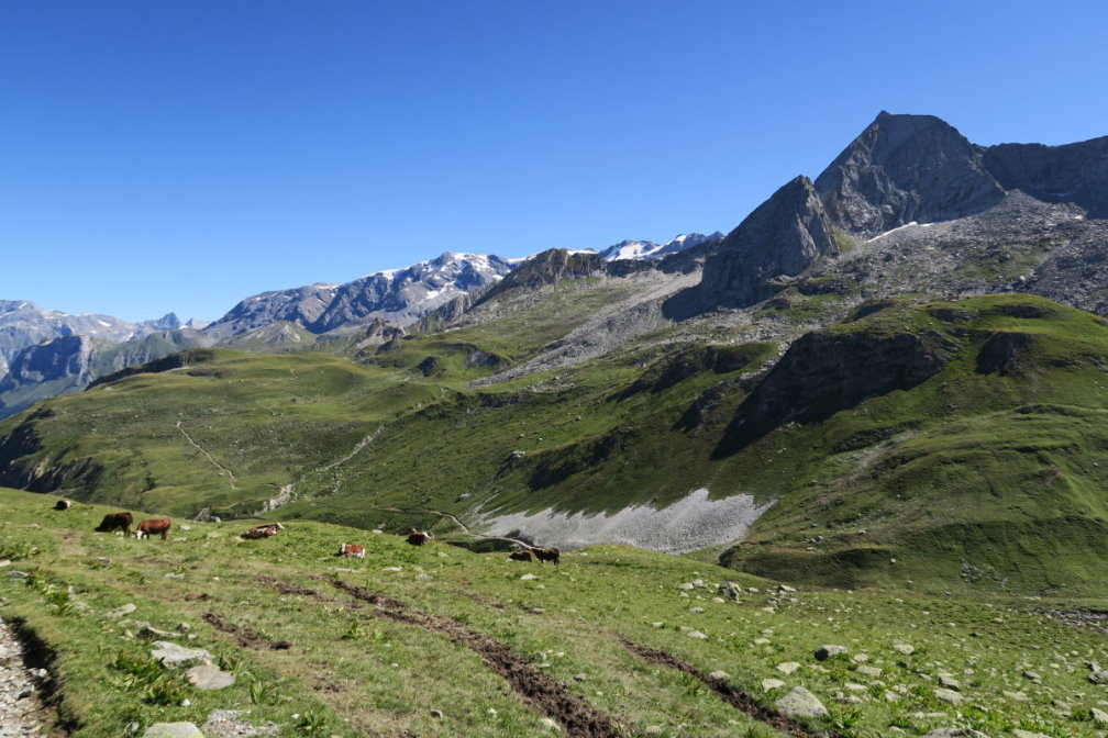 vanoise6182.jpg