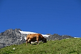 vanoise6177.jpg