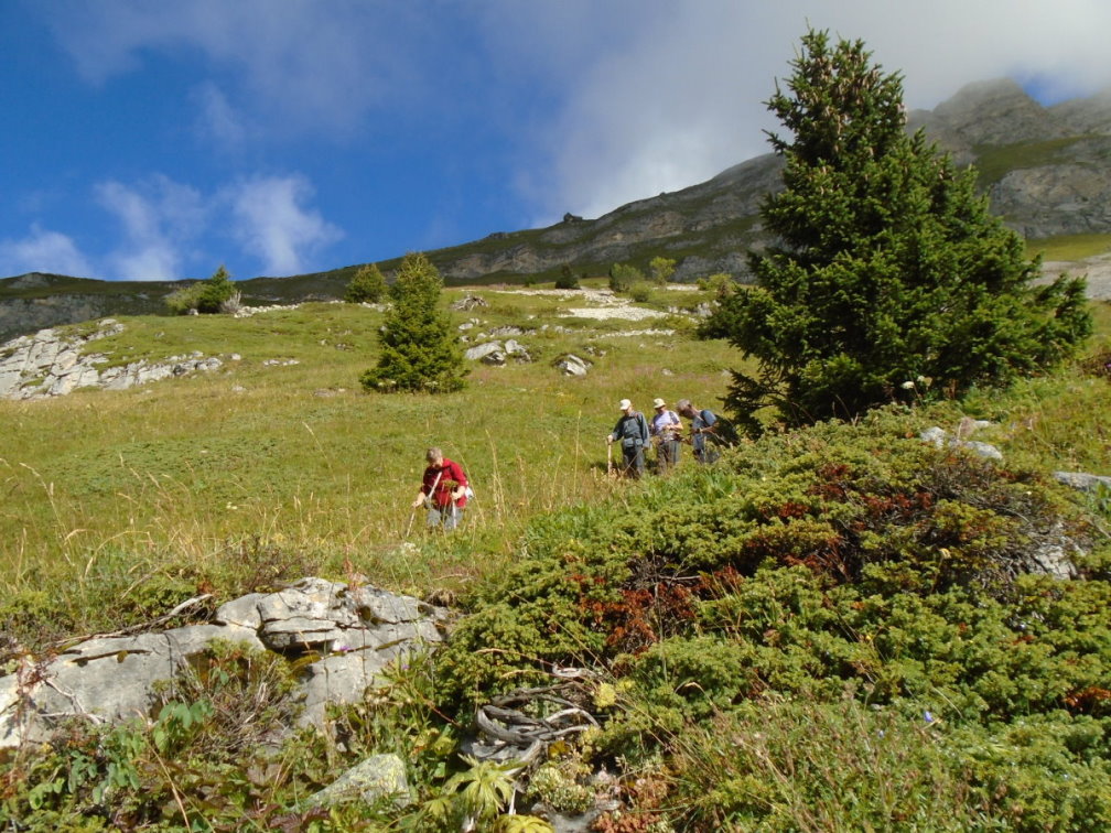 vanoise05137.jpg