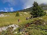 vanoise05137.jpg